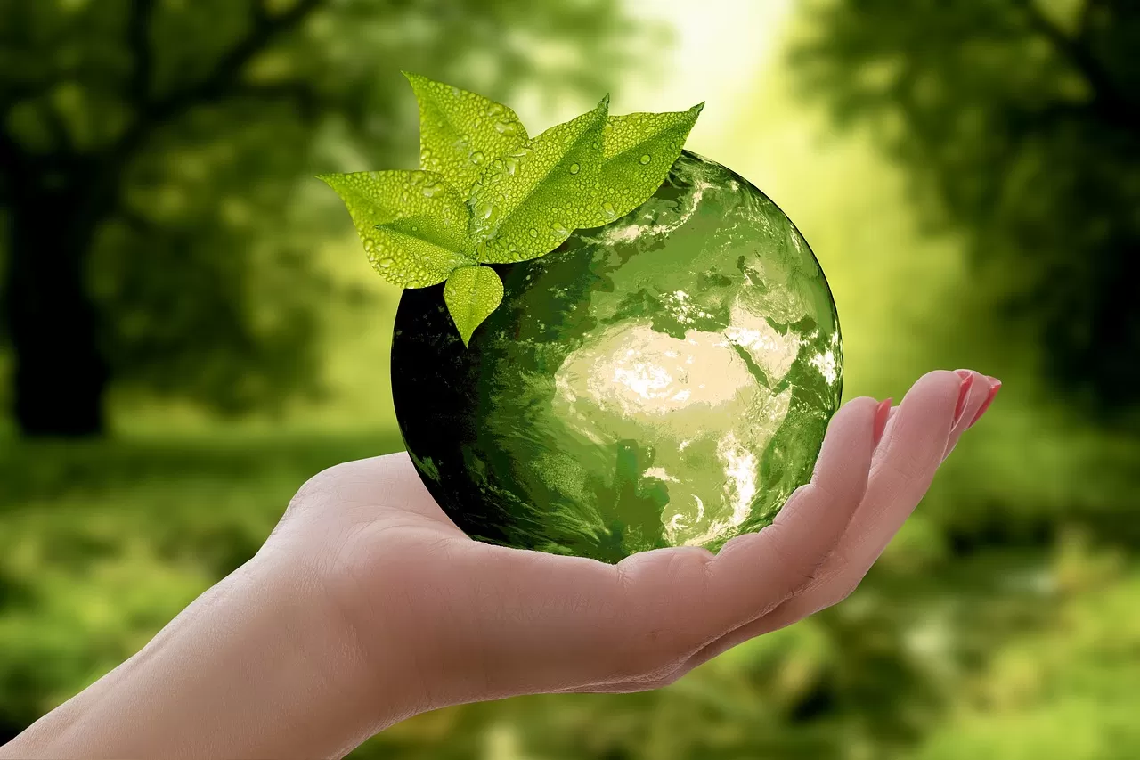 Sustentabilidade em Salões de Beleza: Como Aplicar Práticas Verdes no Seu Negócio